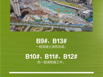 【云峰·中央公園】3月最新工程播報(bào)